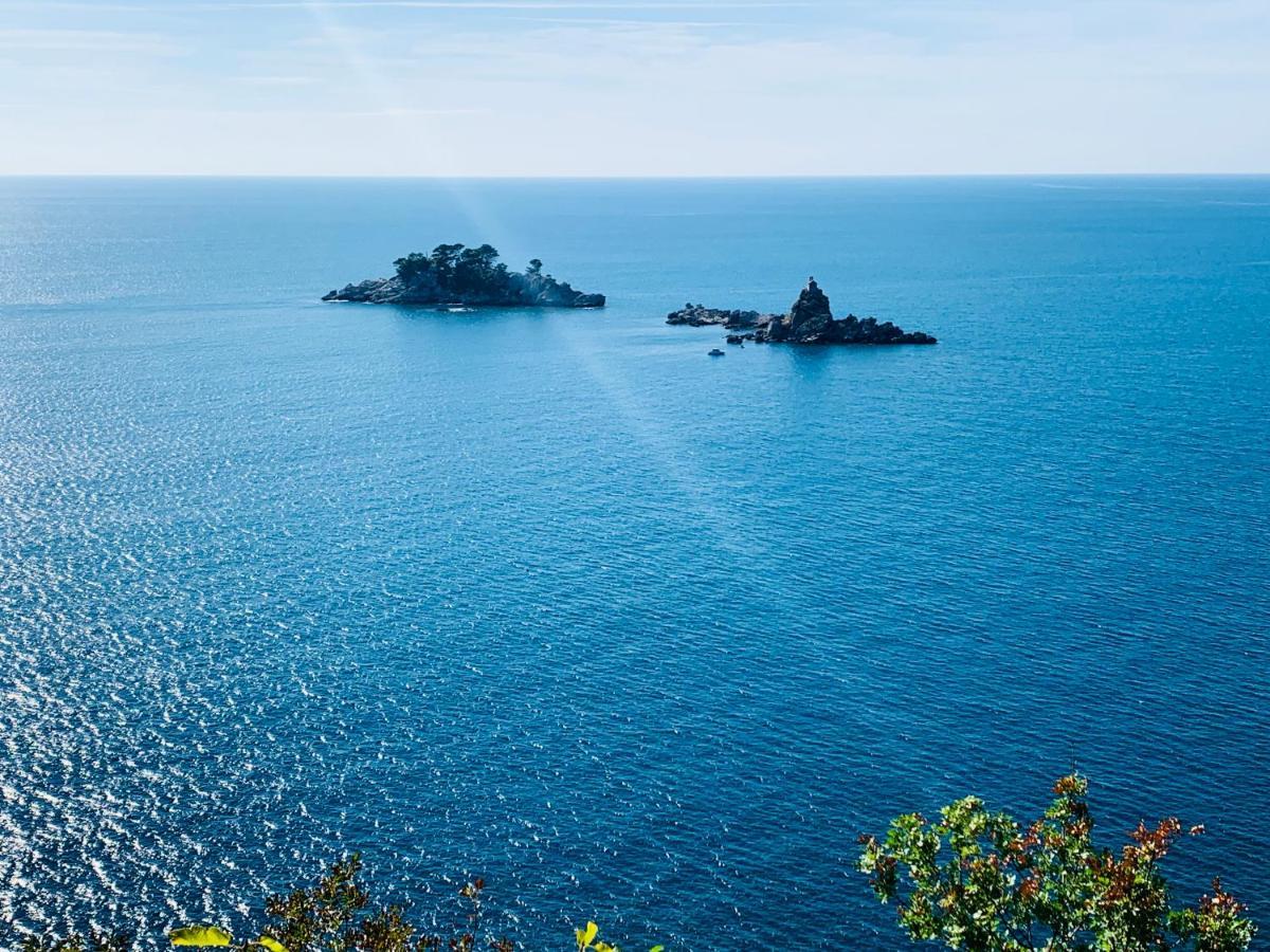 Best View Apartment Petrovac 외부 사진