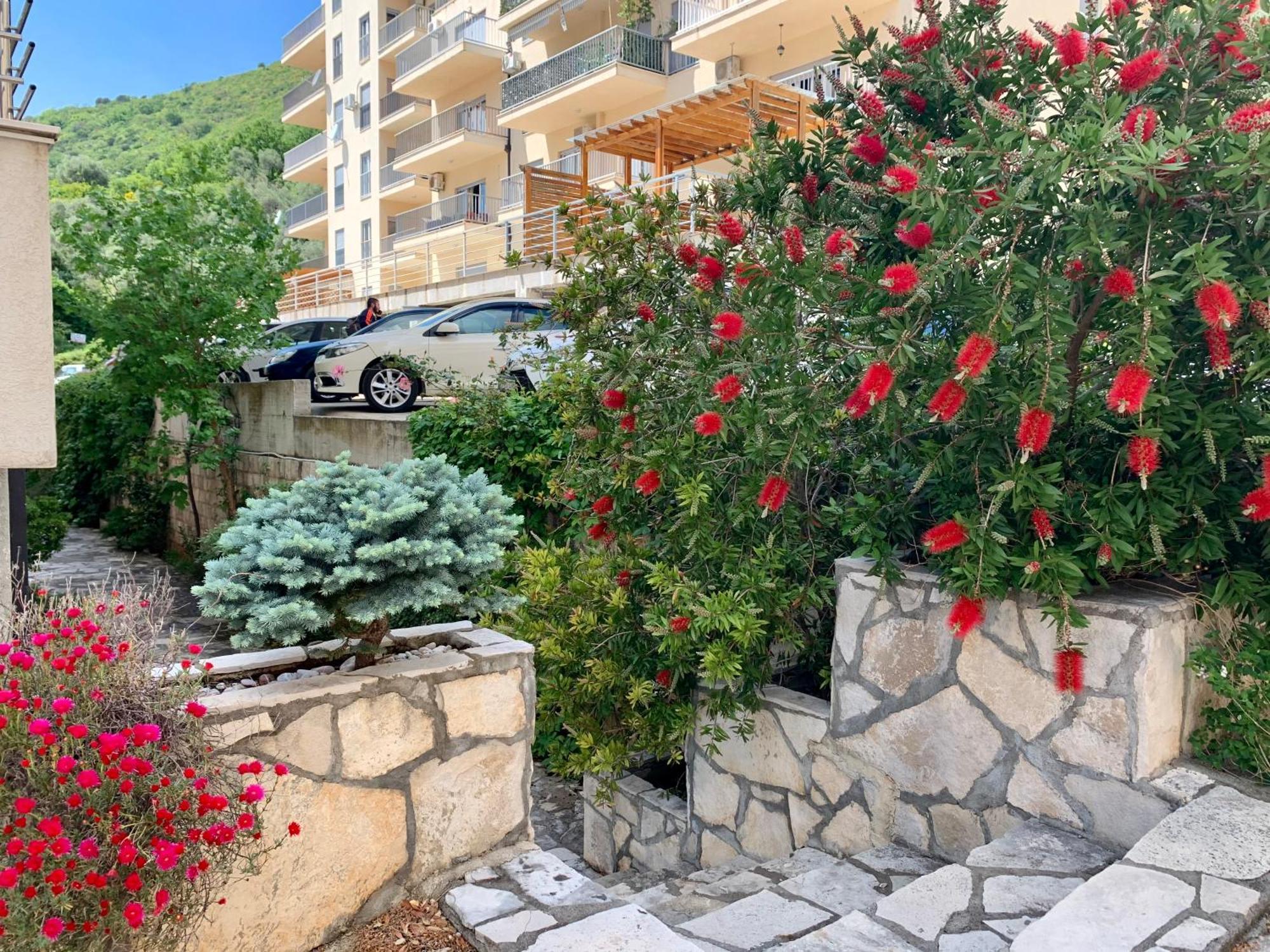 Best View Apartment Petrovac 외부 사진